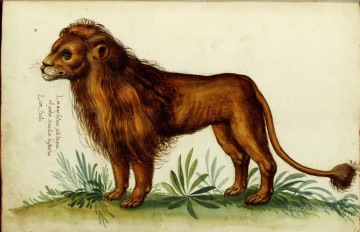 Animal Lion Italian Oil Paintings
